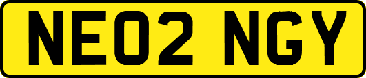 NE02NGY