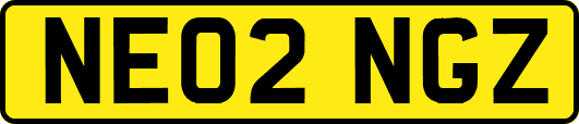 NE02NGZ