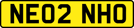 NE02NHO