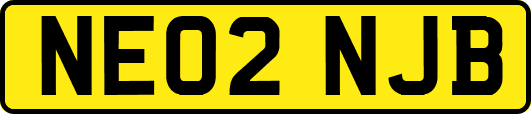 NE02NJB