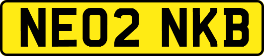 NE02NKB