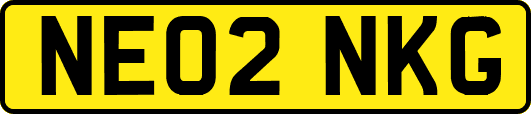 NE02NKG