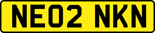 NE02NKN