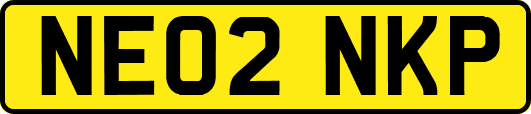 NE02NKP