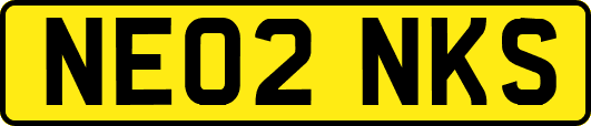 NE02NKS