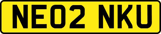 NE02NKU