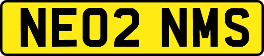 NE02NMS