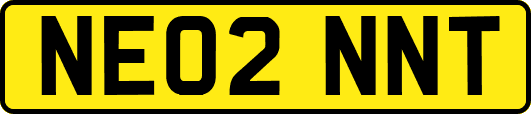 NE02NNT