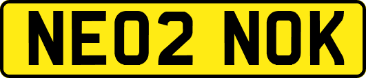 NE02NOK