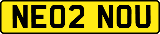 NE02NOU