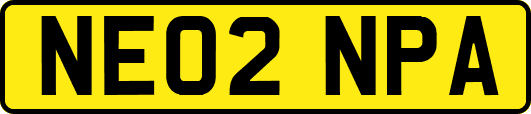 NE02NPA