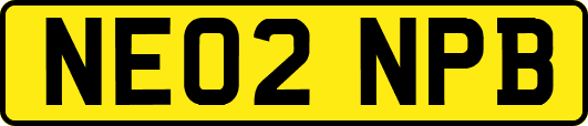 NE02NPB