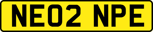 NE02NPE