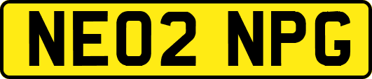 NE02NPG