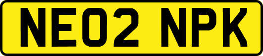 NE02NPK