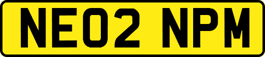 NE02NPM