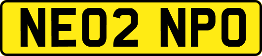 NE02NPO