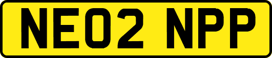 NE02NPP