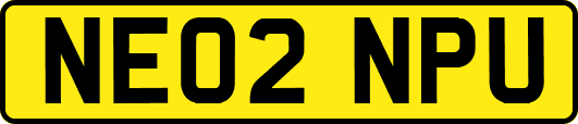 NE02NPU