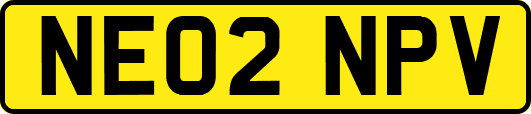 NE02NPV