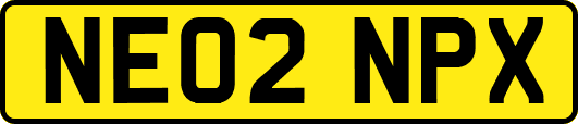 NE02NPX