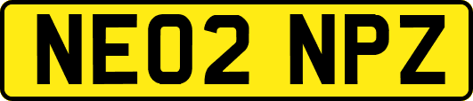 NE02NPZ