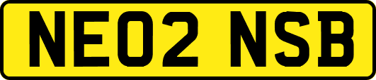NE02NSB