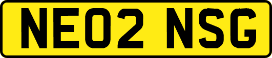 NE02NSG