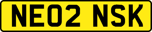 NE02NSK