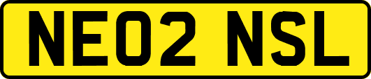 NE02NSL