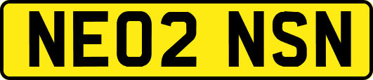 NE02NSN