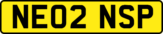 NE02NSP