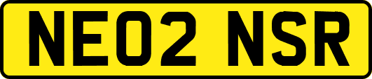 NE02NSR