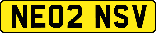 NE02NSV