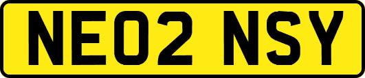 NE02NSY