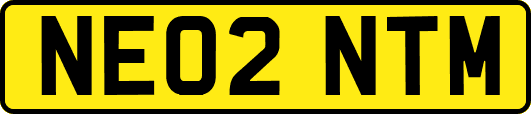 NE02NTM