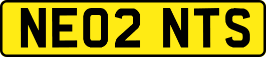 NE02NTS