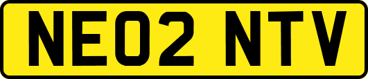 NE02NTV