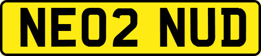 NE02NUD