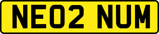 NE02NUM
