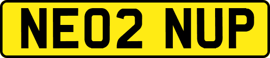 NE02NUP