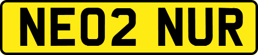 NE02NUR