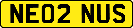 NE02NUS