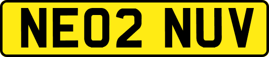 NE02NUV