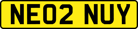 NE02NUY