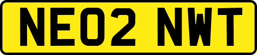 NE02NWT