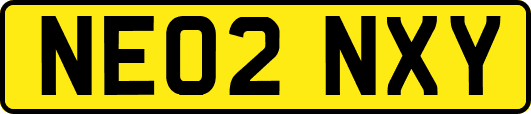 NE02NXY