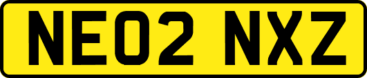 NE02NXZ