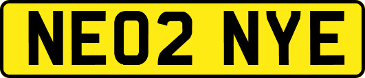 NE02NYE