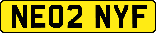 NE02NYF